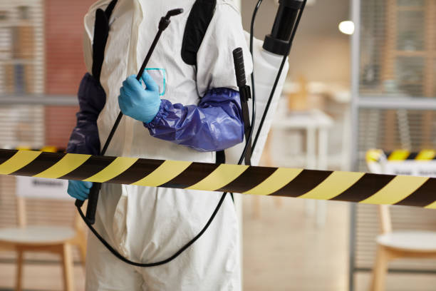 Professional Sewage Cleanup technician working in Milford, NJ